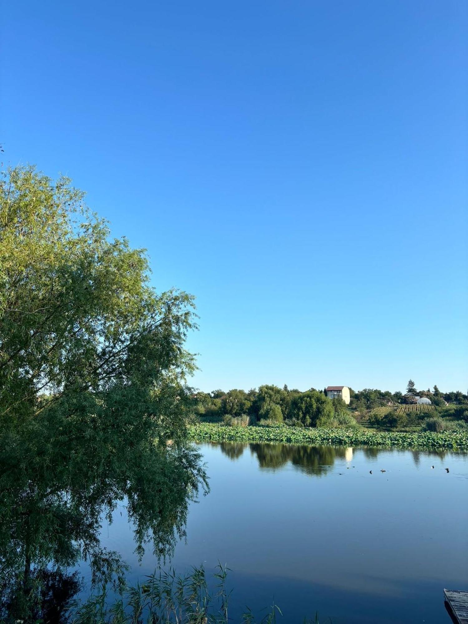 La Nuferi Lac To Therme & Aeroport Otopeni Hotell Snagov Eksteriør bilde